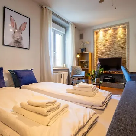 Apartment Special Roger F Rabbit 2 Apartment, Roche Towers, 10-star Basel